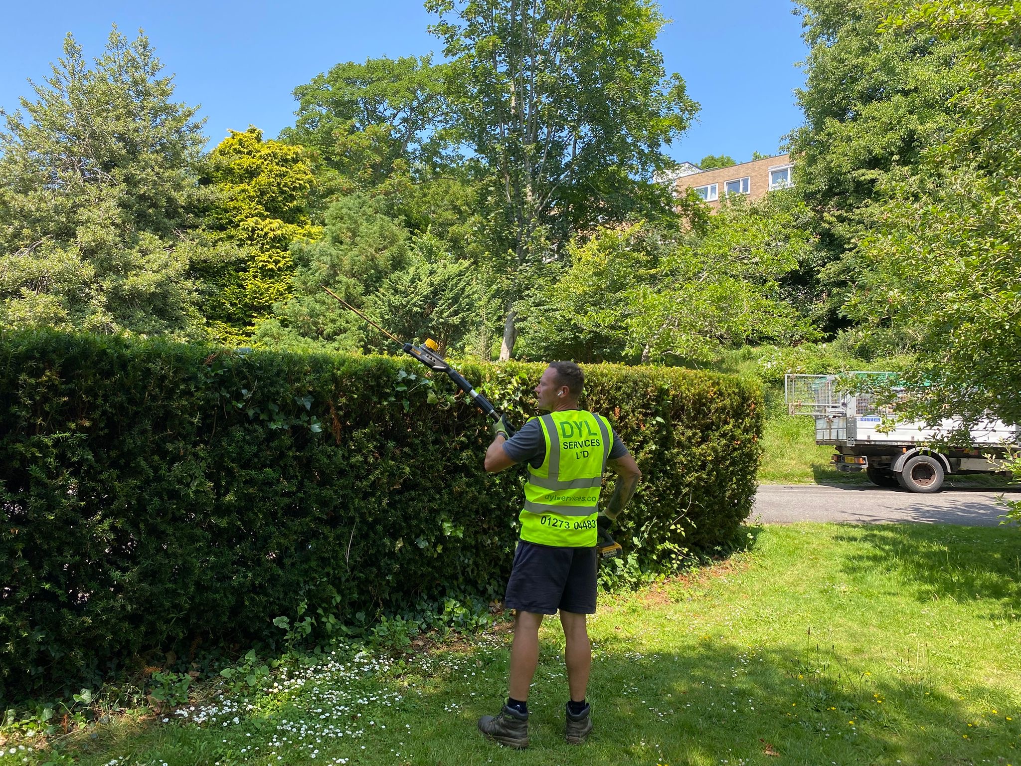 DYL Services - Hedge cutting